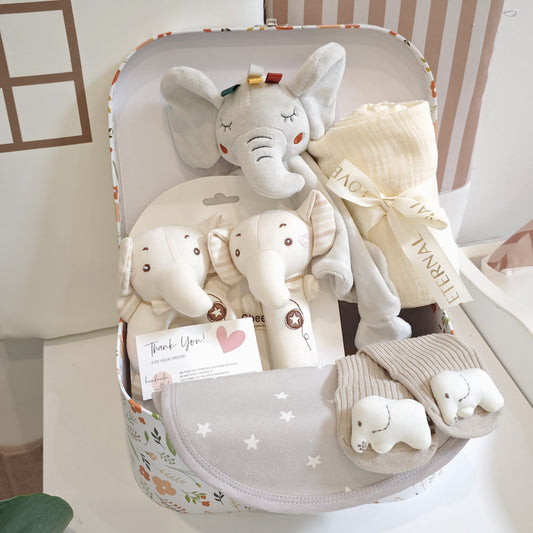 Coffret cadeau naissance 5 pièces – Mixte fille/garçon avec couverture, doudou éléphant et accessoires