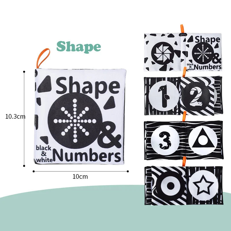 shapes